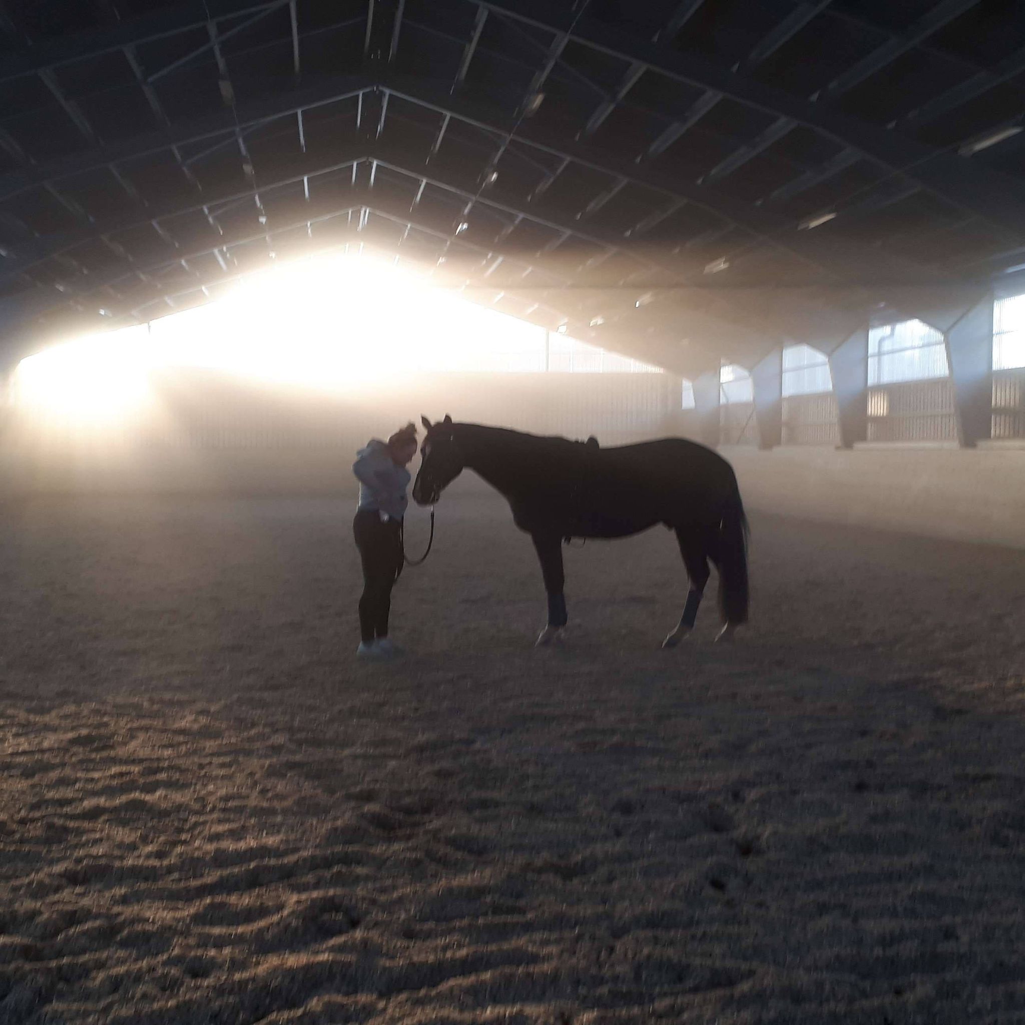 ridhus för uthyrning
